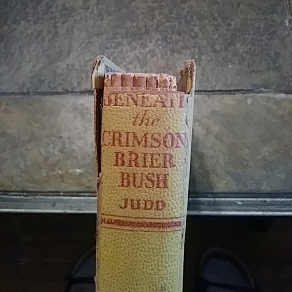 Book - Picture 2 of 4